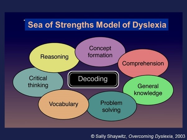 Dyslexia Evaluation Overview Yale Dyslexia